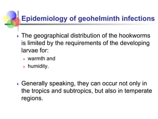 Epidemiology of geohelminth infections
 The geographical distribution of the hookworms
is limited by the requirements of ...