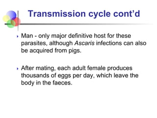 Transmission cycle cont’d
 Man - only major definitive host for these
parasites, although Ascaris infections can also
be ...