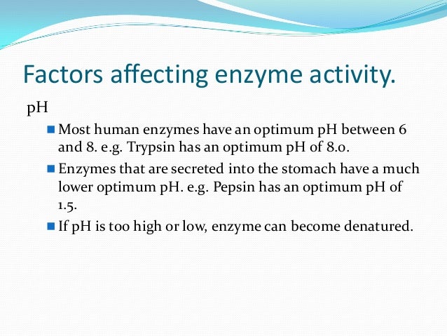 investigating enzyme activity Investigation into the effect of substrate concentration on the enzyme catalase reviewmylife technology, life, programming, travel and money 13 responses to “the effect of substrate concentration on the activity of the enzyme catalase”. investigating enzyme activity Investigation into the effect of substrate concentration on the enzyme catalase reviewmylife technology, life, programming, travel and money 13 responses to “the effect of substrate concentration on the activity of the enzyme catalase”.