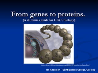 From genes to proteins.  (A dummies guide for Unit 3 Biology) Source: http://library.thinkquest.org/C004535/protein_synthesis.html Ian Anderson – Saint Ignatius College, Geelong 