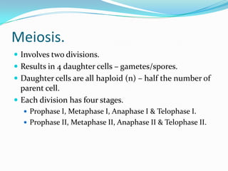 Meiosis.
 Involves two divisions.
 Results in 4 daughter cells – gametes/spores.
 Daughter cells are all haploid (n) – half the number of
parent cell.
 Each division has four stages.
 Prophase I, Metaphase I, Anaphase I & Telophase I.
 Prophase II, Metaphase II, Anaphase II & Telophase II.
 