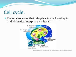 Cell cycle.
 The series of event that take place in a cell leading to
its division (i.e. interphase + mitosis).
Source: http://www.scq.ubc.ca/the-cell-cycle-a-universal-cellular-division-program/
 