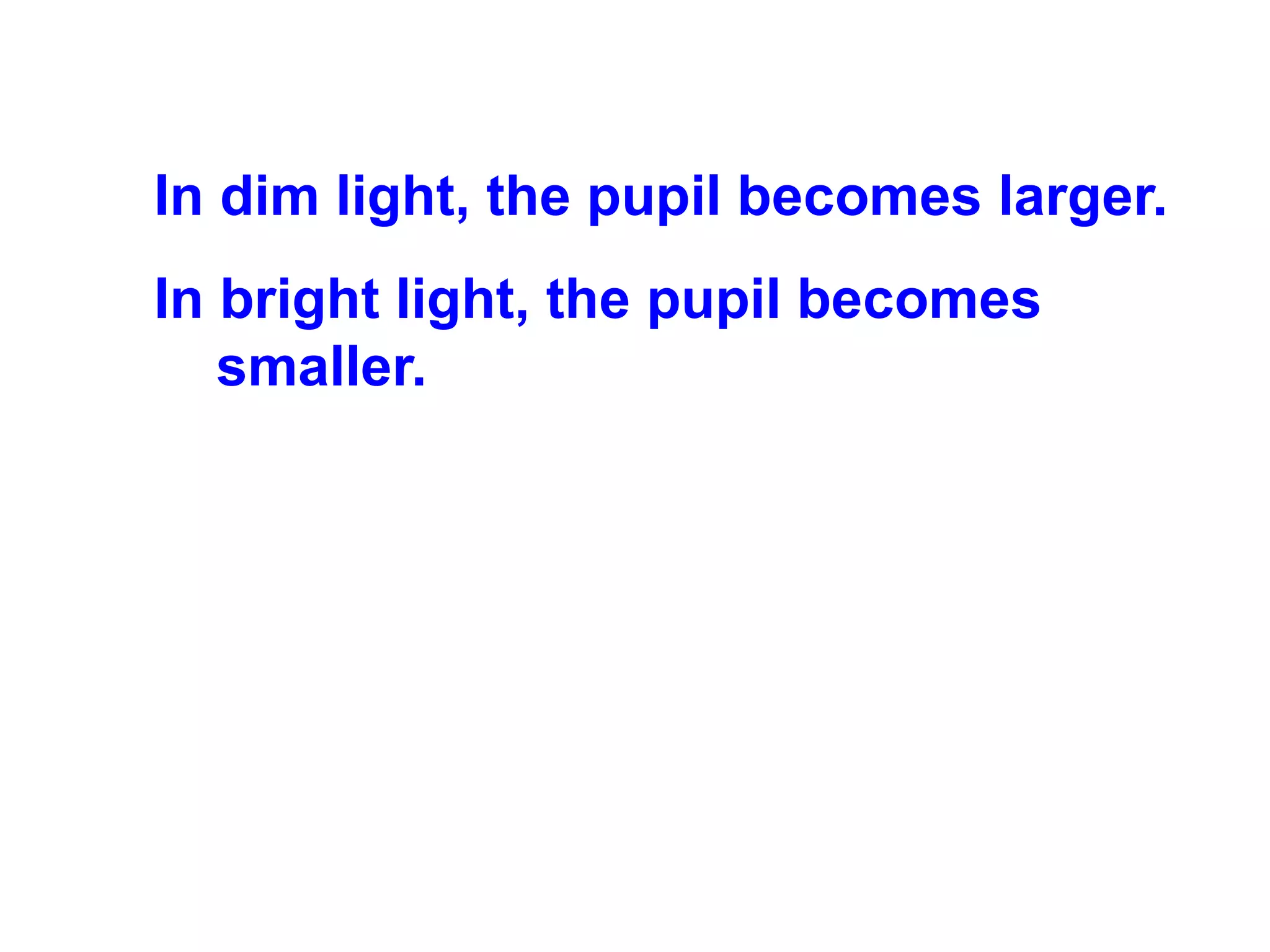 In dim light, the pupil becomes larger. In bright light, the pupil becomes smaller. 