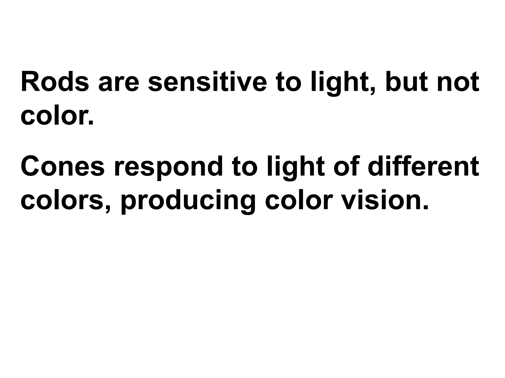 Rods are sensitive to light, but not color. Cones respond to light of different colors, producing color vision.   
