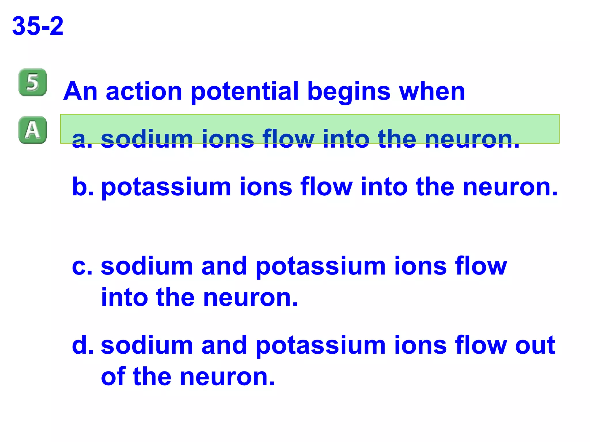 35-2 An action potential begins when sodium ions flow into the neuron. potassium ions flow into the neuron. sodium and potassium ions flow into the neuron. sodium and potassium ions flow out of the neuron. 