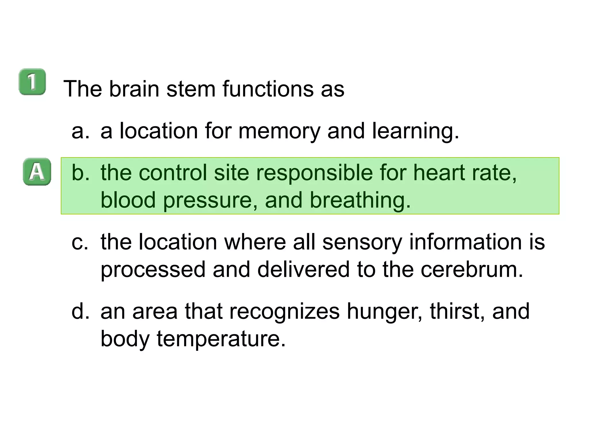 35-3 The brain stem functions as a location for memory and learning. the control site responsible for heart rate, blood pressure, and breathing. the location where all sensory information is processed and delivered to the cerebrum. an area that recognizes hunger, thirst, and body temperature. 