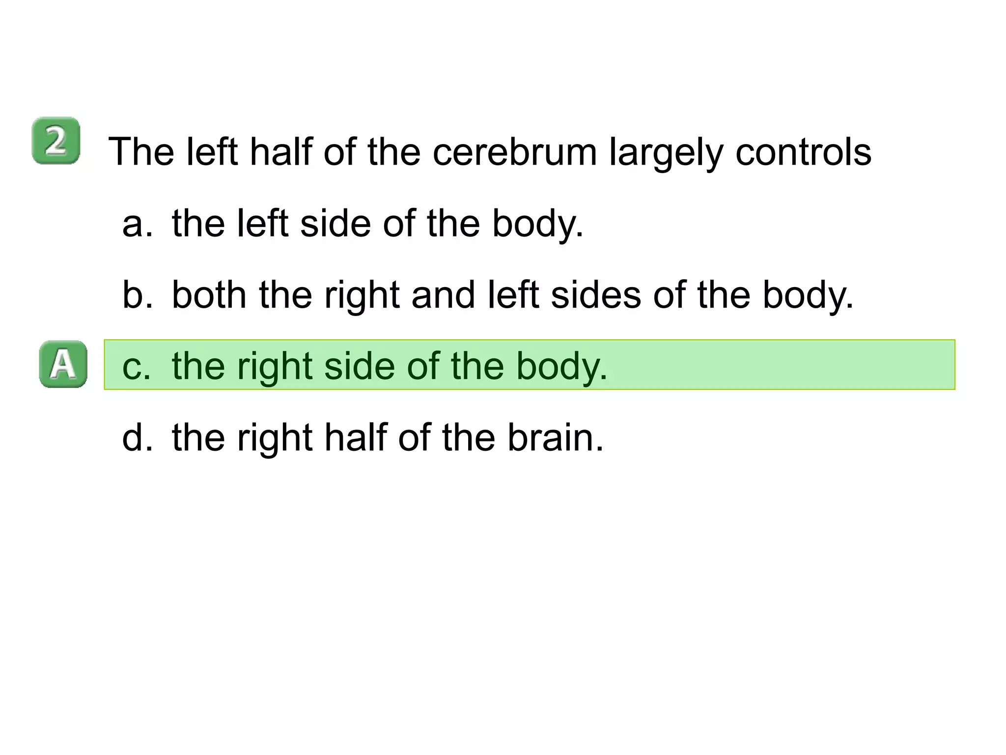 35-3 The left half of the cerebrum largely controls the left side of the body. both the right and left sides of the body. the right side of the body. the right half of the brain. 
