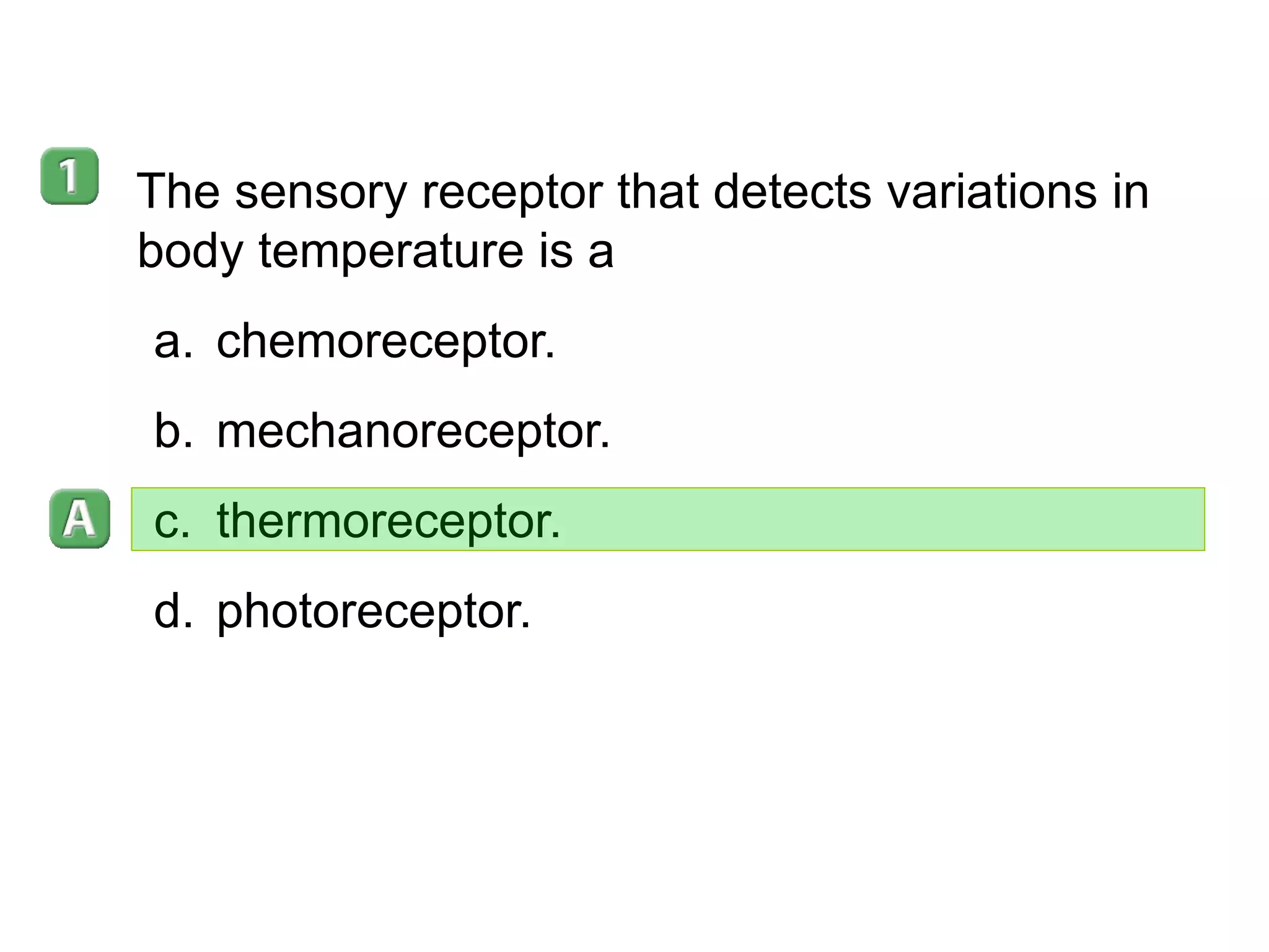 35–4 The sensory receptor that detects variations in body temperature is a  chemoreceptor. mechanoreceptor. thermoreceptor. photoreceptor. 