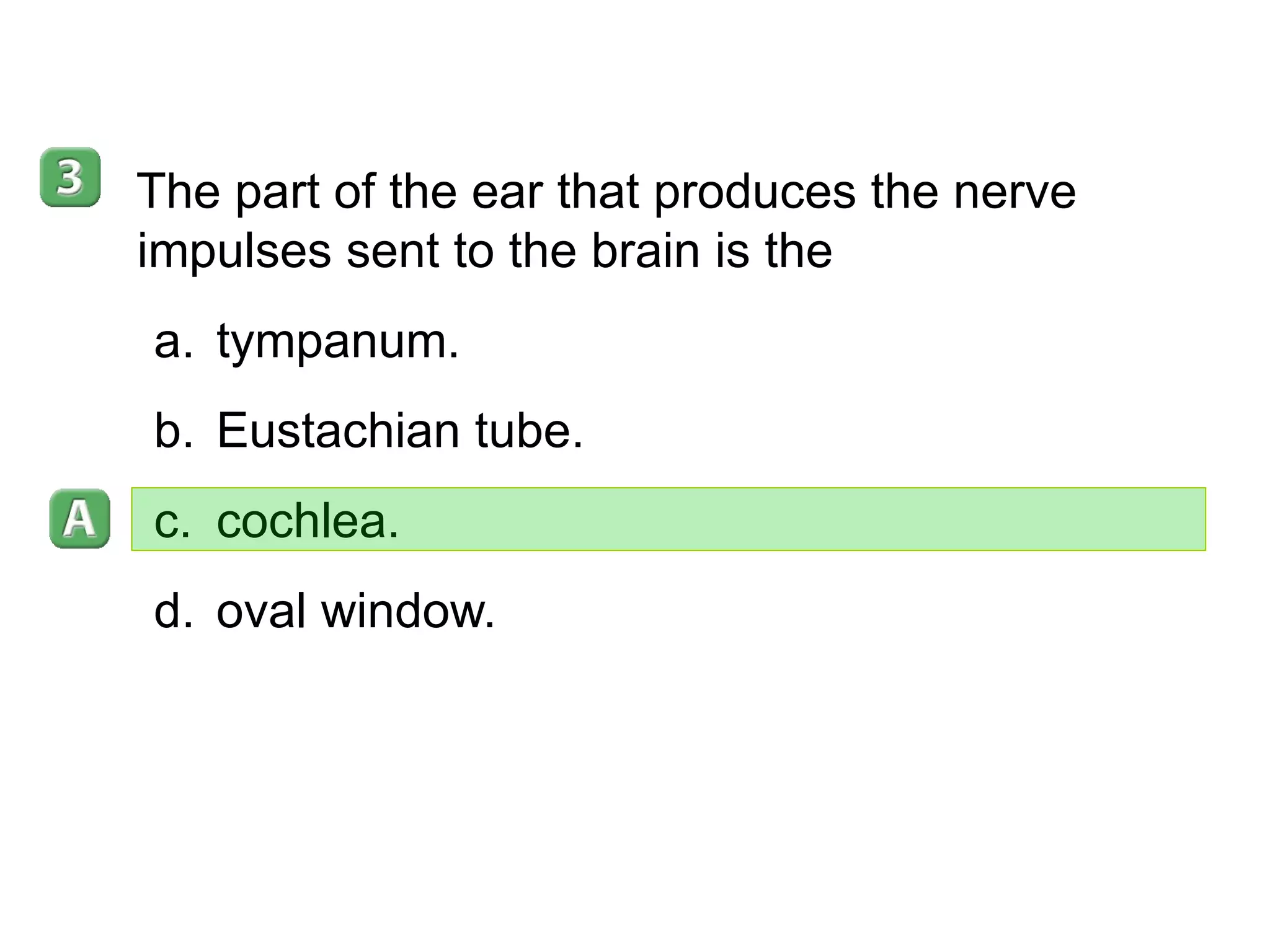 35–4 The part of the ear that produces the nerve impulses sent to the brain is the  tympanum. Eustachian tube. cochlea. oval window. 