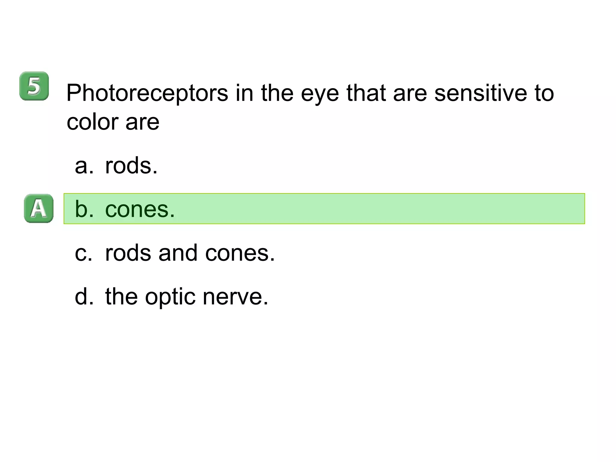 35–4 Photoreceptors in the eye that are sensitive to color are rods. cones. rods and cones. the optic nerve. 