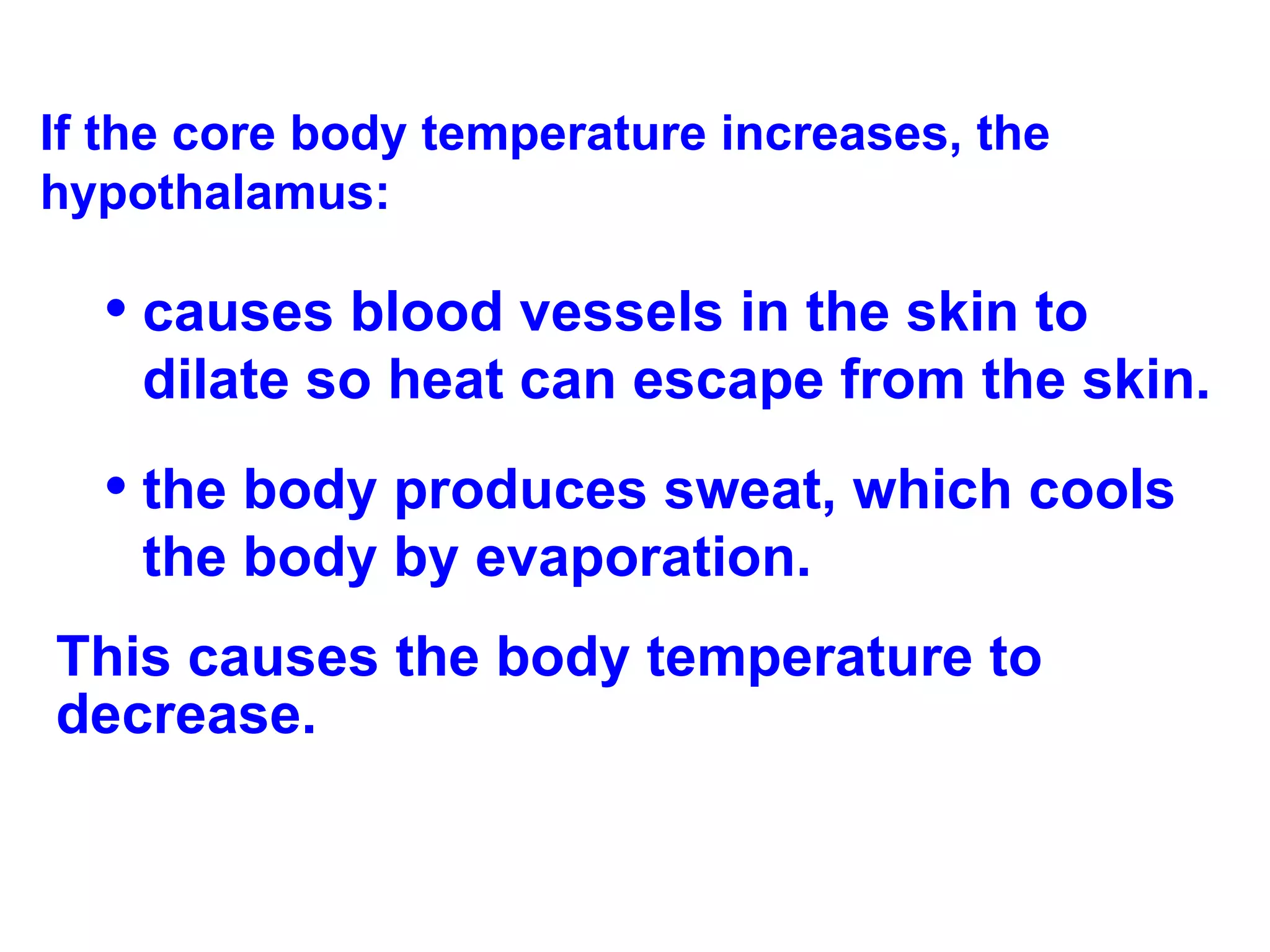 If the core body temperature increases, the hypothalamus: causes blood vessels in the skin to dilate so heat can escape from the skin. the body produces sweat, which cools the body by evaporation. This causes the body temperature to decrease. 