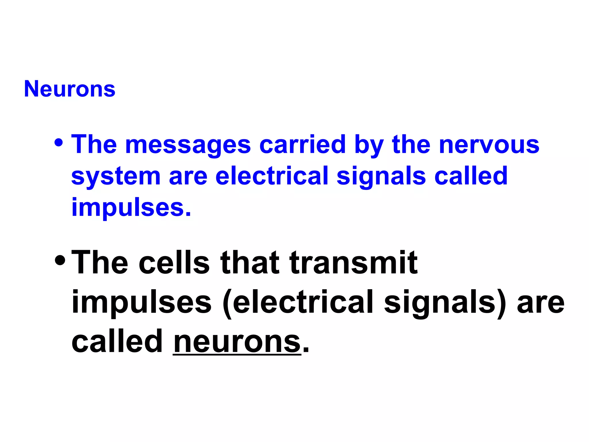 Neurons The messages carried by the nervous system are electrical signals called impulses.  The cells that transmit impulses (electrical signals) are called  neurons .   