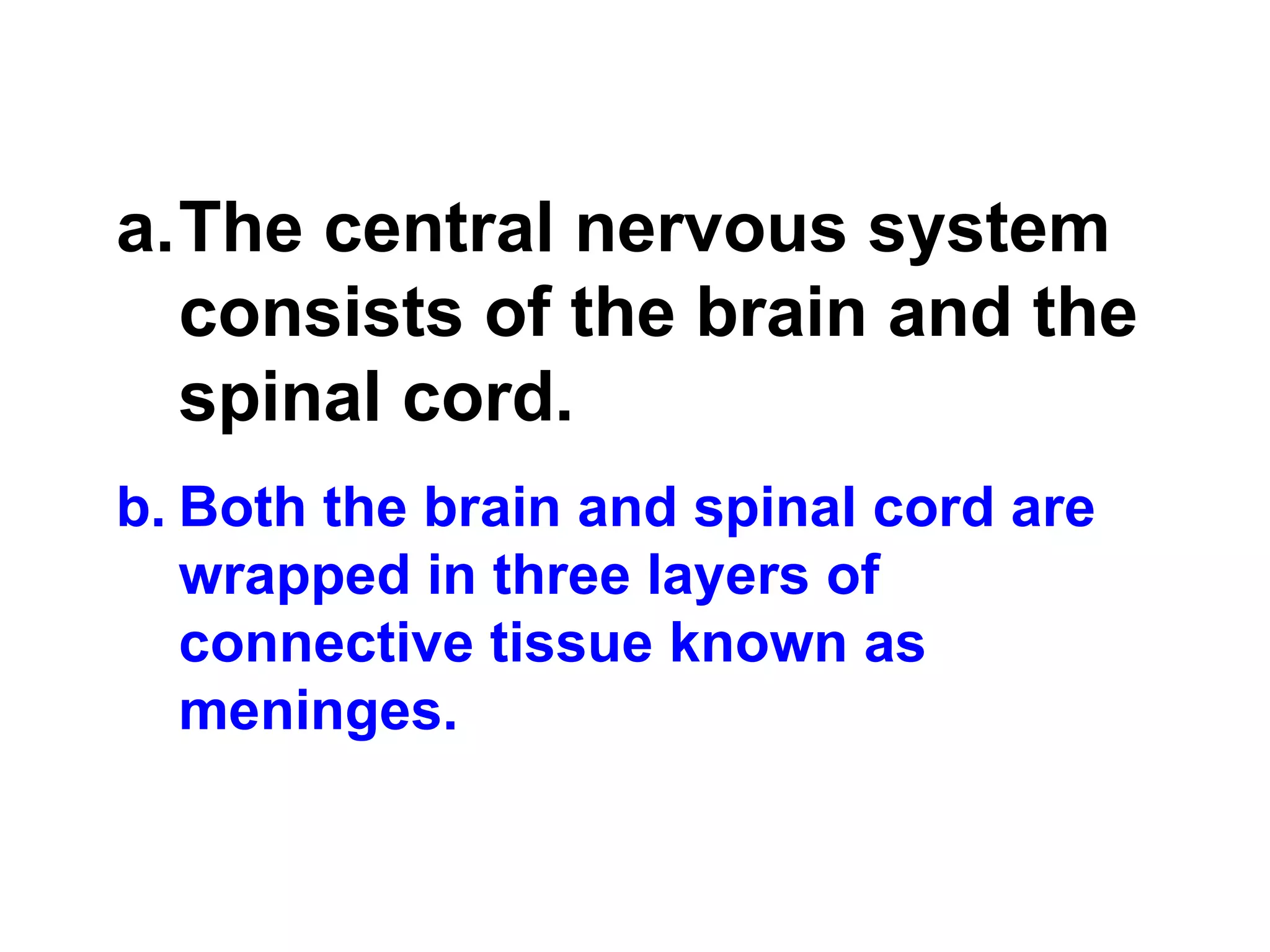 The central nervous system consists of the brain and the spinal cord.   Both the brain and spinal cord are wrapped in three layers of connective tissue known as meninges. 