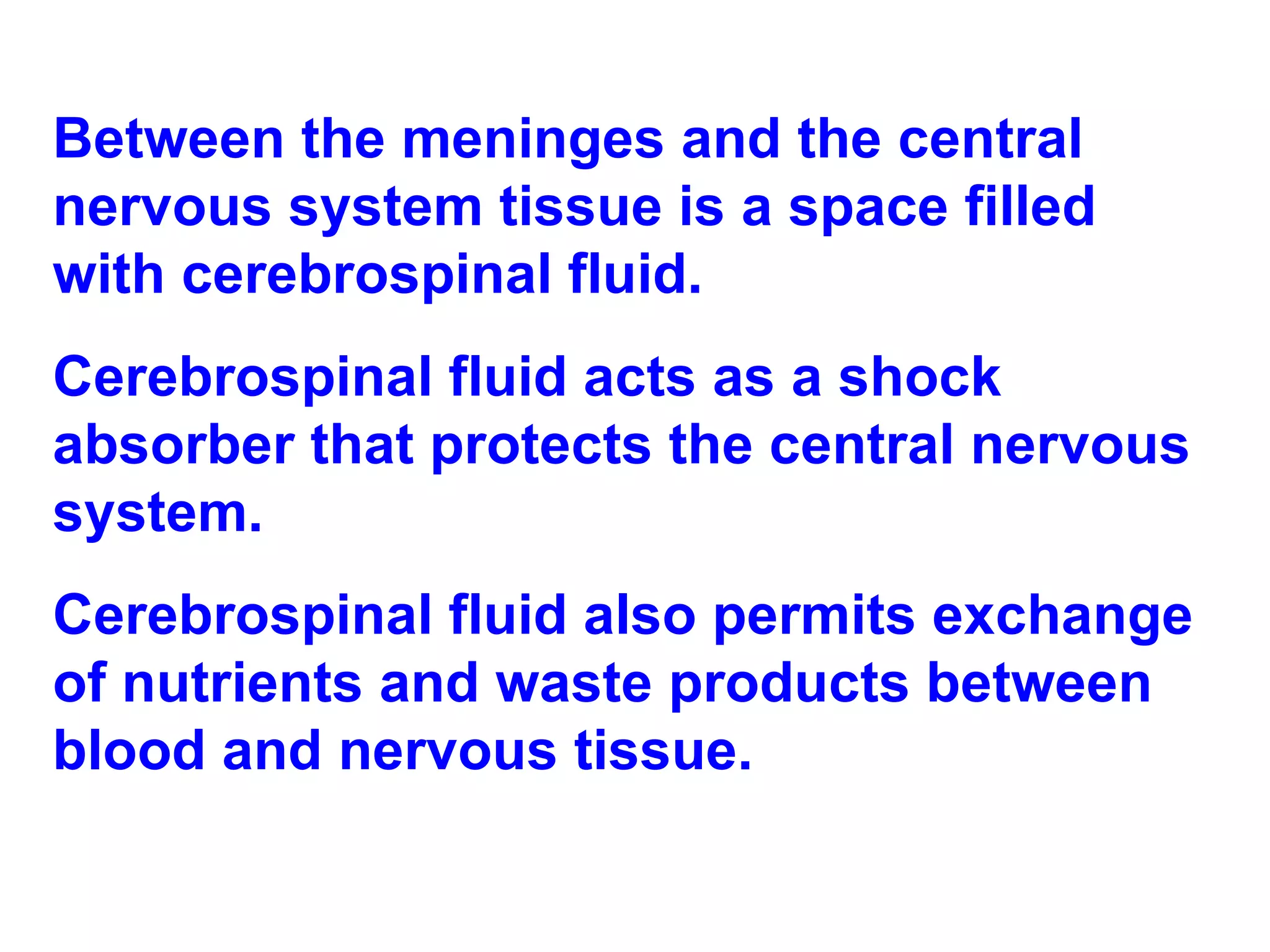 Between the meninges and the central nervous system tissue is a space filled with cerebrospinal fluid.  Cerebrospinal fluid acts as a shock absorber that protects the central nervous system.  Cerebrospinal fluid also permits exchange of nutrients and waste products between blood and nervous tissue. 