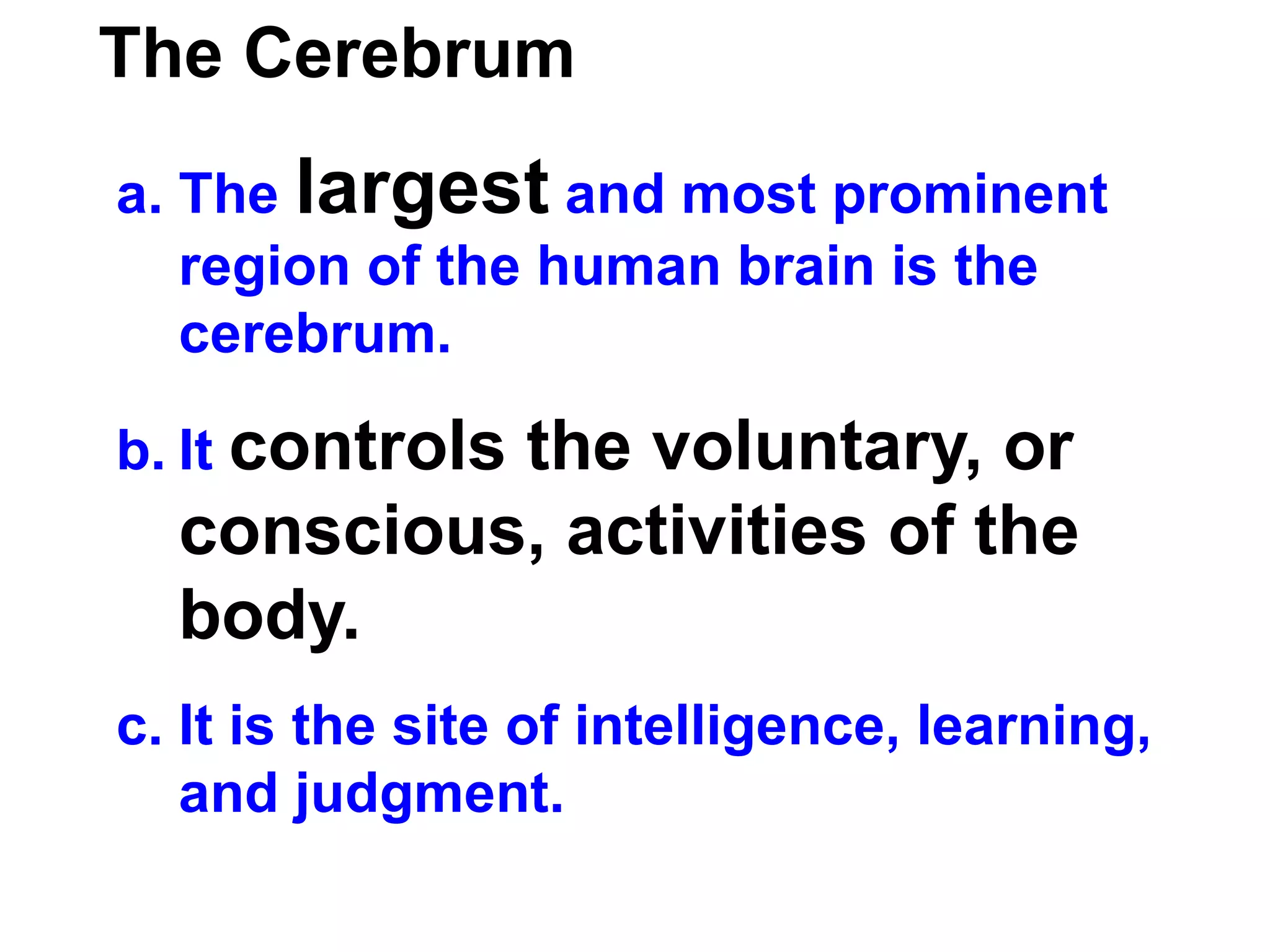 The Cerebrum  The  largest  and most prominent region of the human brain is the cerebrum.  It  controls the voluntary, or conscious, activities of the body.   It is the site of intelligence, learning, and judgment. 