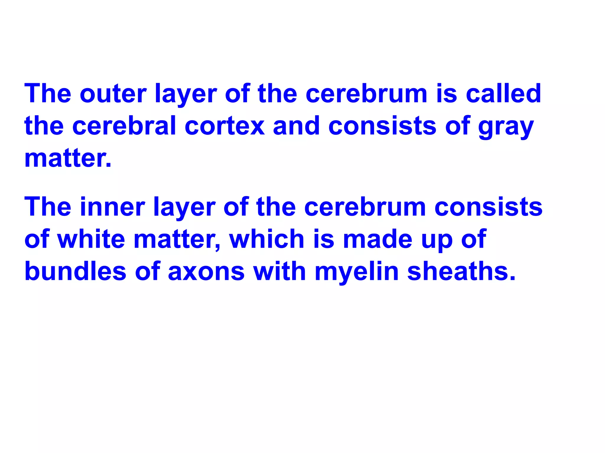 The outer layer of the cerebrum is called the cerebral cortex and consists of gray matter.  The inner layer of the cerebrum consists of white matter, which is made up of bundles of axons with myelin sheaths.  