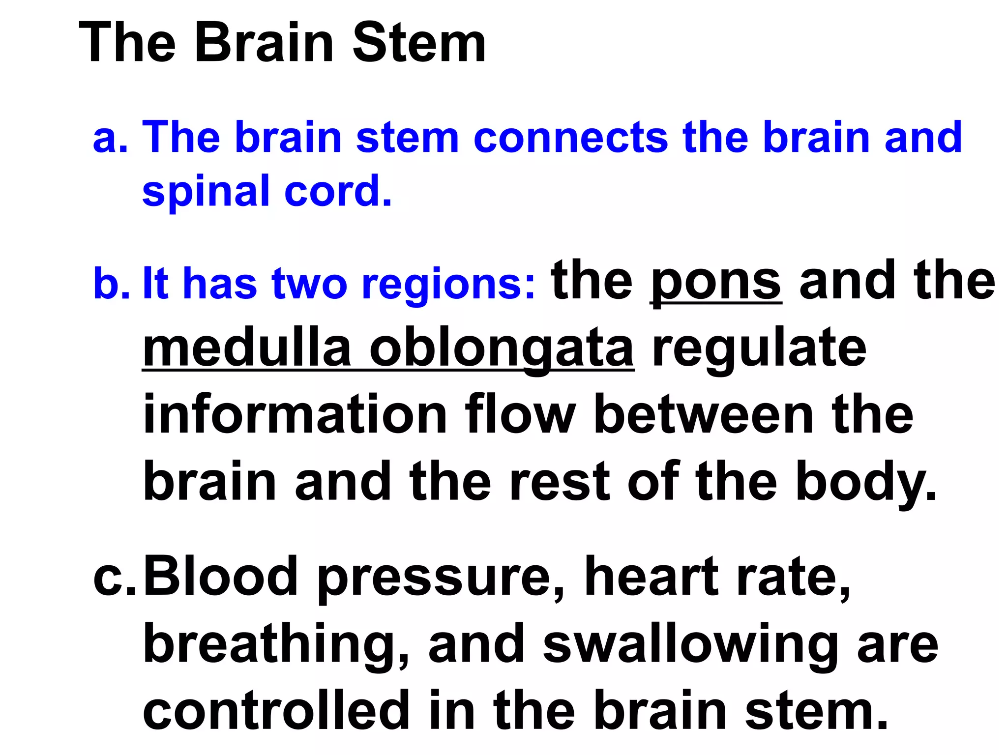 The Brain Stem The brain stem connects the brain and spinal cord.  It has two regions:  the  pons  and the  medulla oblongata  regulate information flow between the brain and the rest of the body.   Blood pressure, heart rate, breathing, and swallowing are controlled in the brain stem. 