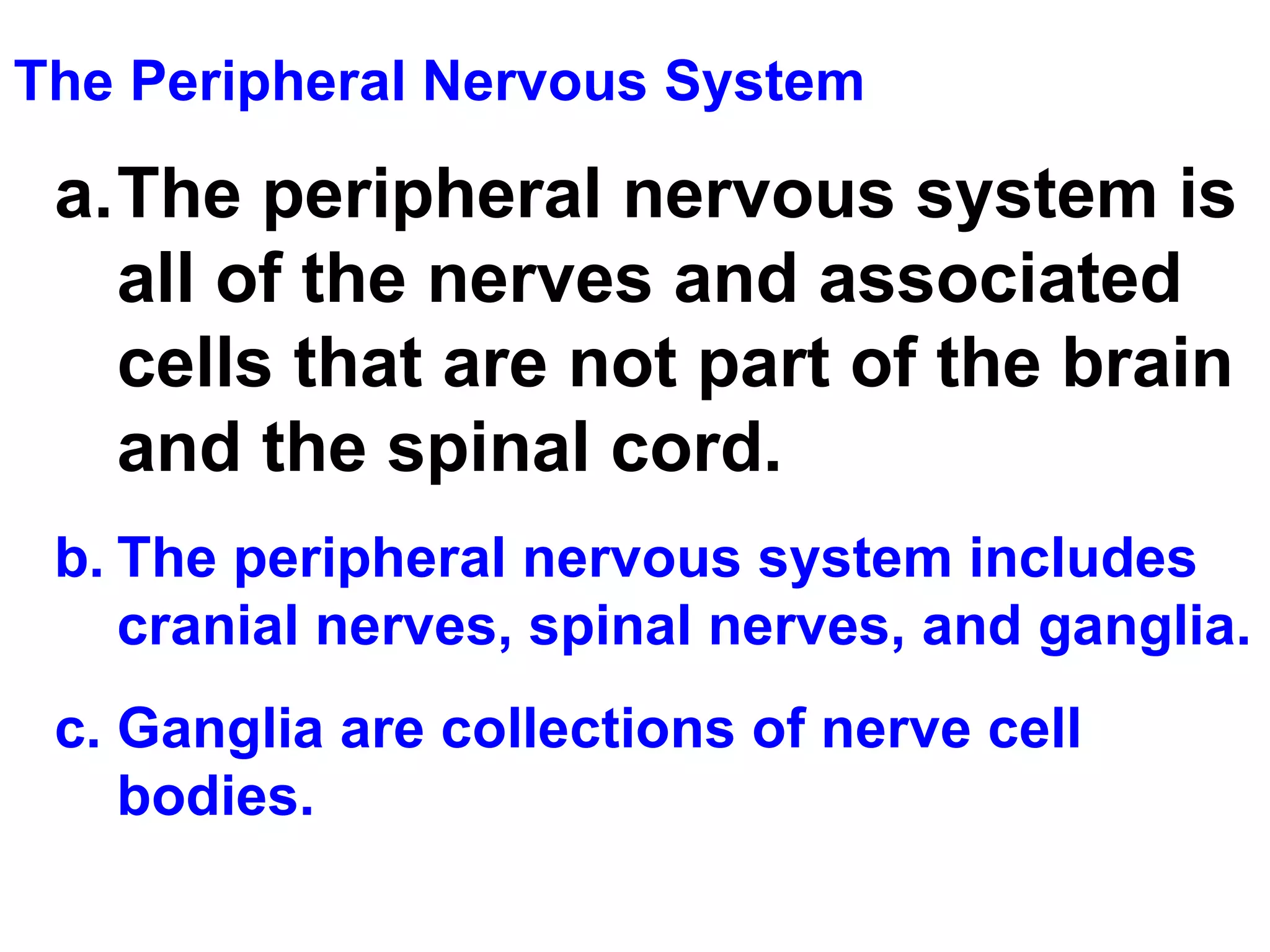 The Peripheral Nervous System The peripheral nervous system is all of the nerves and associated cells that are not part of the brain and the spinal cord.   The peripheral nervous system includes cranial nerves, spinal nerves, and ganglia. Ganglia are collections of nerve cell bodies. 
