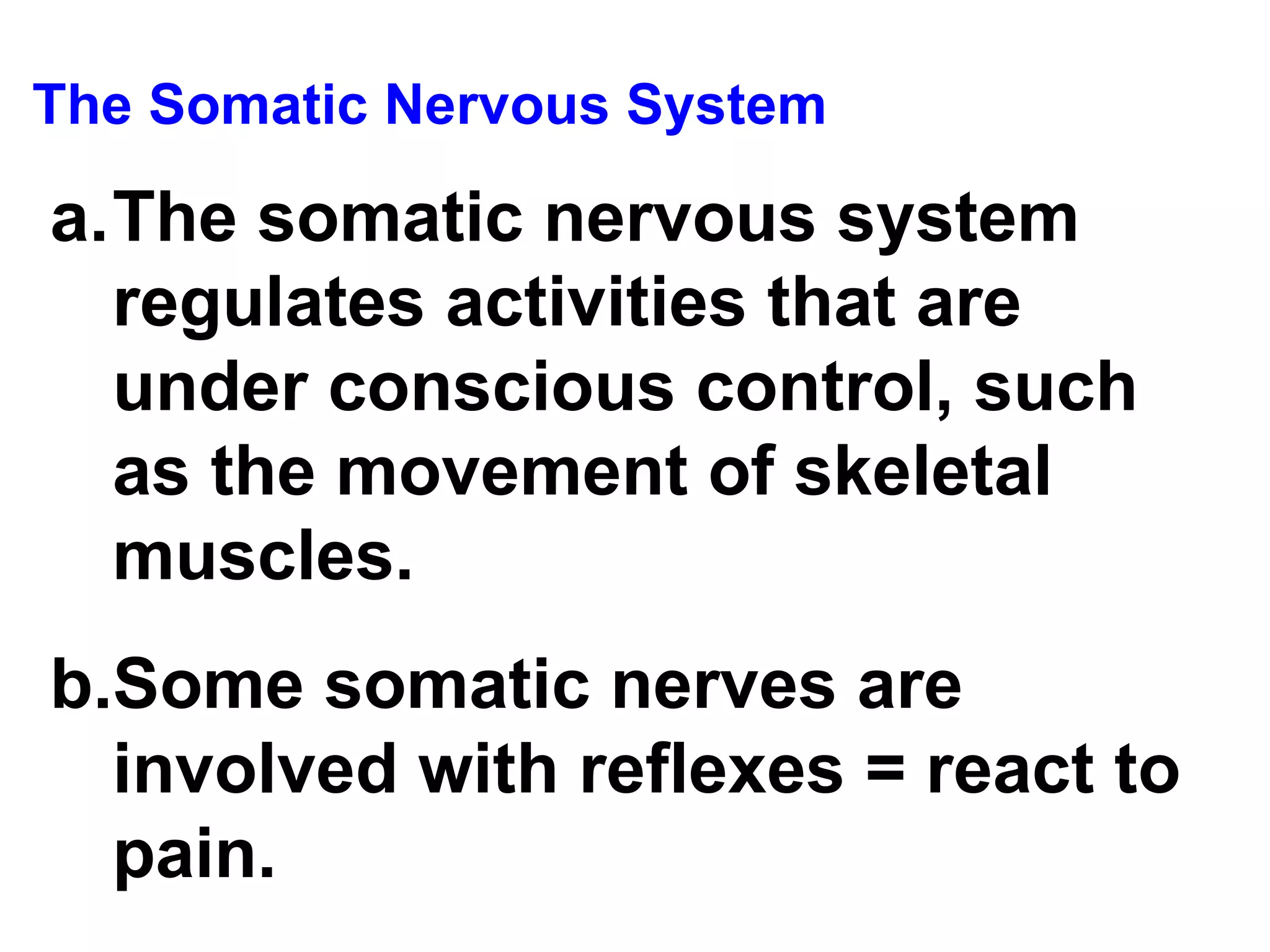 The Somatic Nervous System The somatic nervous system regulates activities that are under conscious control, such as the movement of skeletal muscles. Some somatic nerves are involved with reflexes = react to pain. 