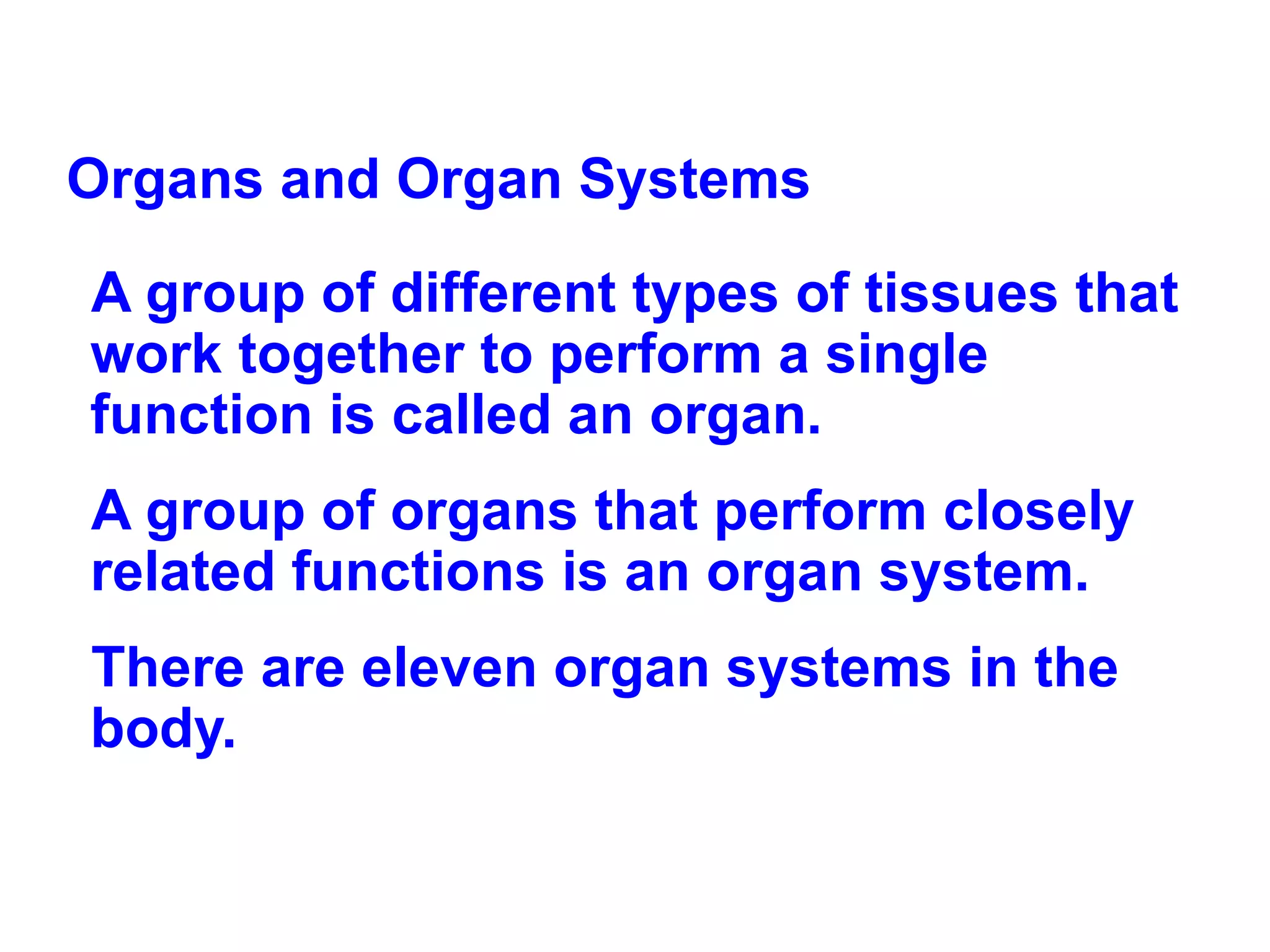 Organs and Organ Systems  A group of different types of tissues that work together to perform a single function is called an organ.  A group of organs that perform closely related functions is an organ system. There are eleven organ systems in the body. 