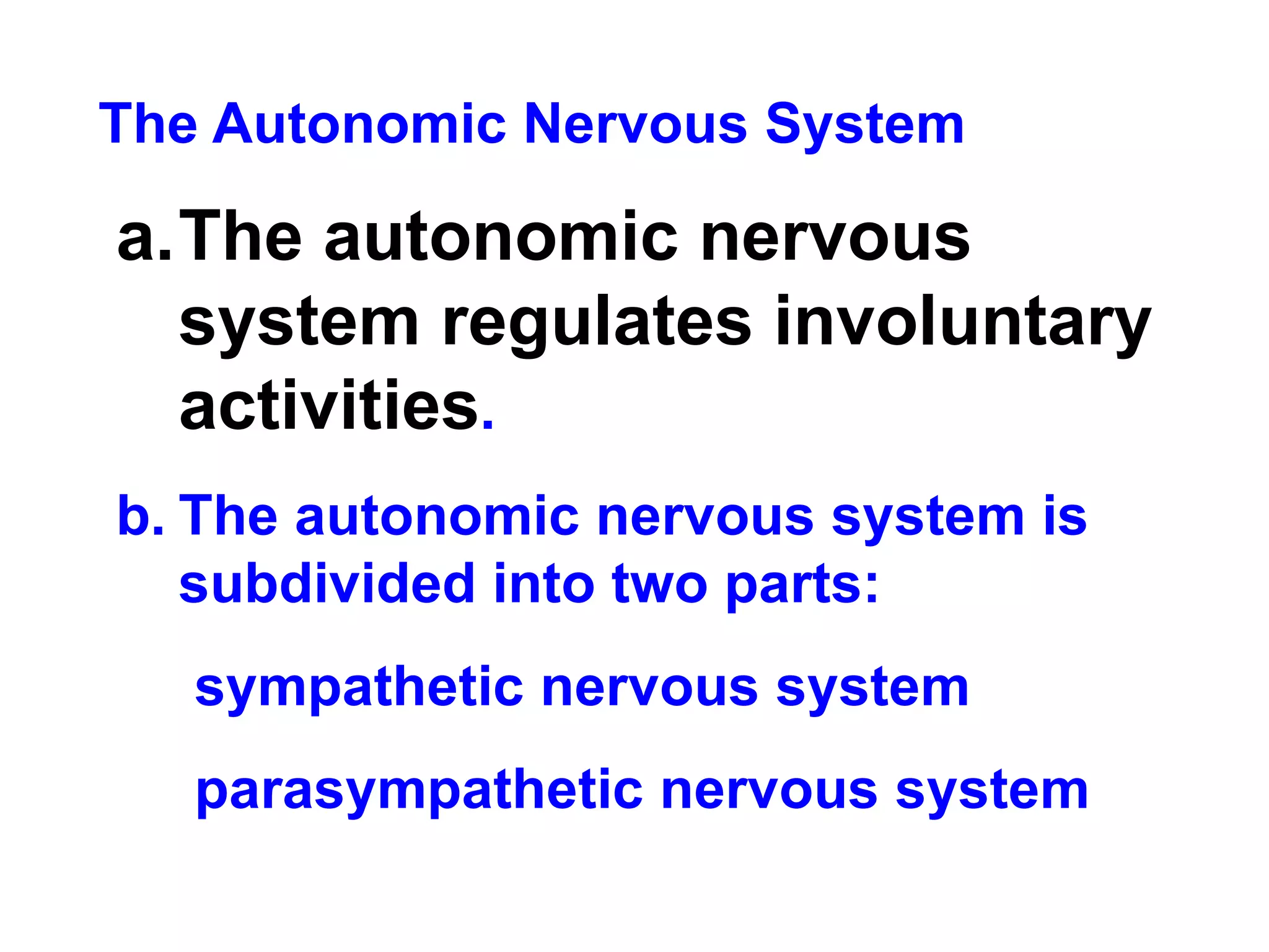 The Autonomic Nervous System The autonomic nervous system regulates involuntary activities .  The autonomic nervous system is subdivided into two parts: sympathetic nervous system parasympathetic nervous system 