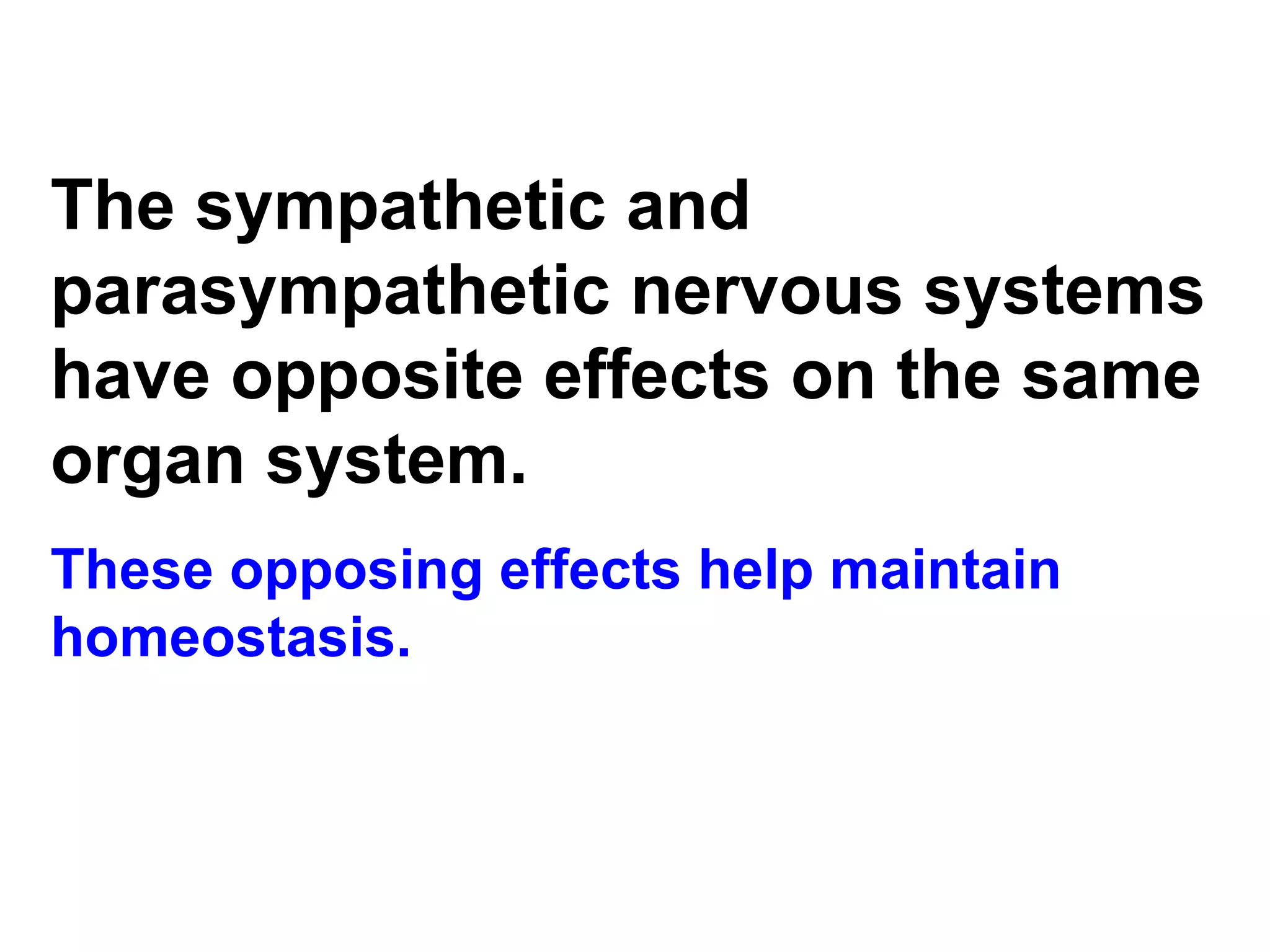 The sympathetic and parasympathetic nervous systems have opposite effects on the same organ system.   These opposing effects help maintain homeostasis.  