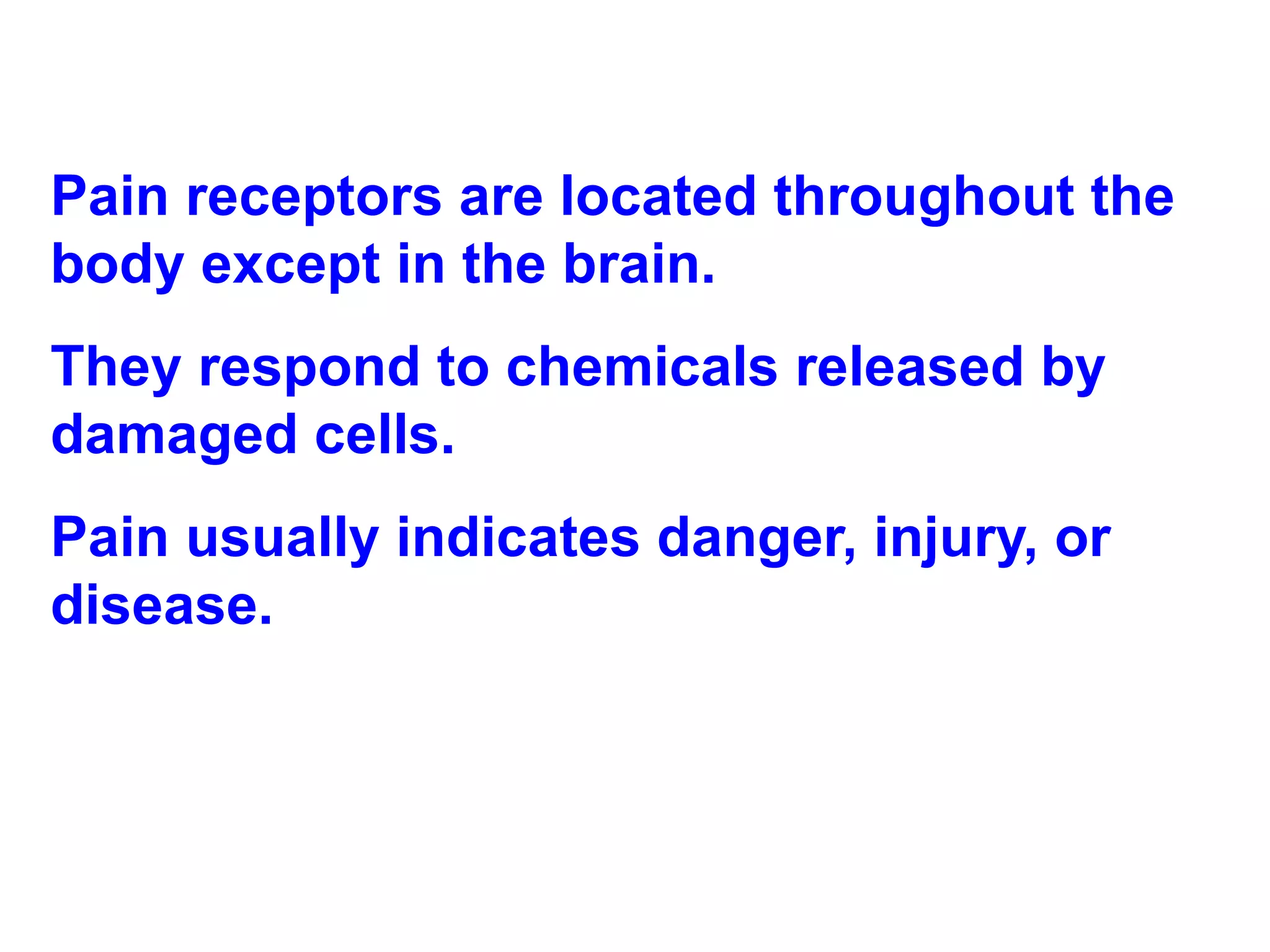 Pain receptors are located throughout the body except in the brain.  They respond to chemicals released by damaged cells. Pain usually indicates danger, injury, or disease. 
