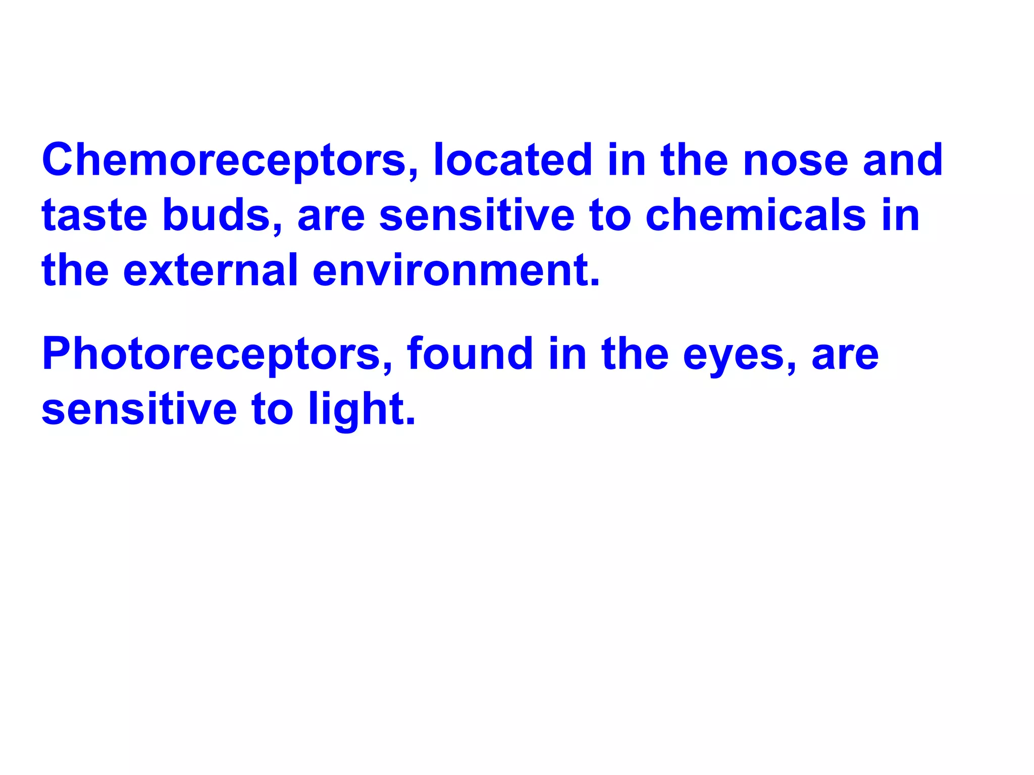 Chemoreceptors, located in the nose and taste buds, are sensitive to chemicals in the external environment.  Photoreceptors, found in the eyes, are sensitive to light.  
