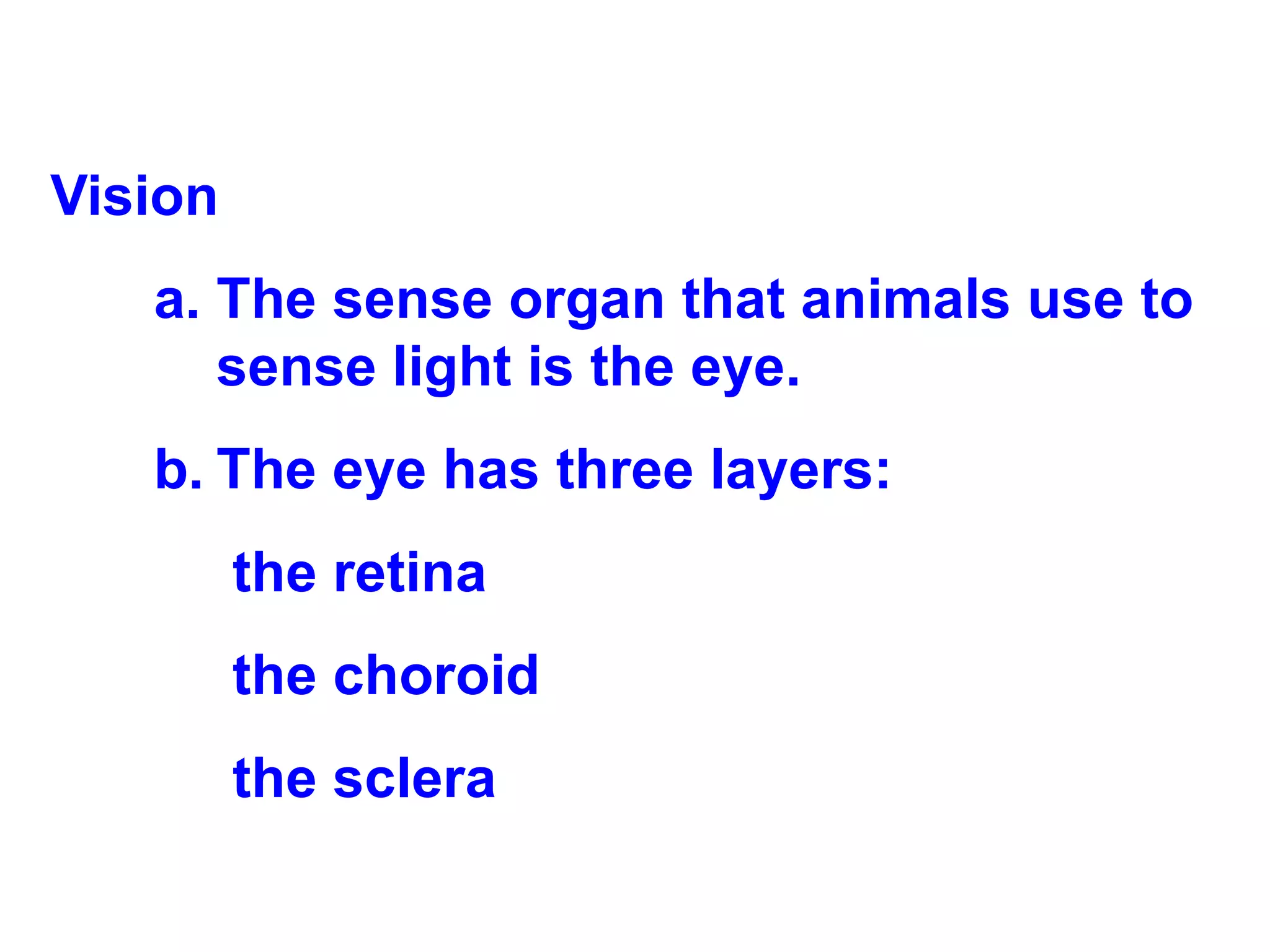 Vision The sense organ that animals use to sense light is the eye. The eye has three layers: the retina the choroid the sclera 