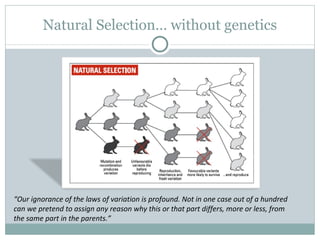 Life Without Varation Example Photo Bio380 Cancer Phylogenomics | PPT