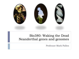 Bio380: Waking the Dead Neanderthal genes and genomes Professor Mark Pallen 