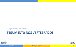 O Tegumento dos Animais