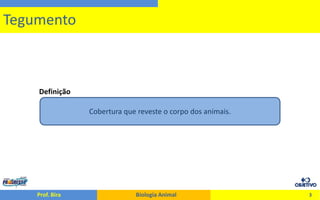 O Tegumento dos Animais
