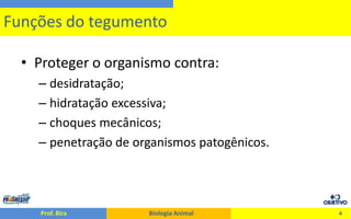 O Tegumento dos Animais