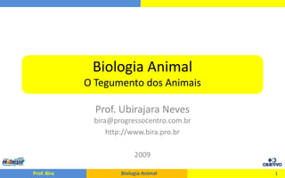 Biologia Animal
             O Tegumento dos Animais

               Prof. Ubirajara Neves
              bira@progressocentro.com.br
                  http://www.bira.pro.br

                          2009

Prof. Bira           Biologia Animal        1
 