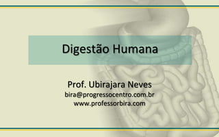 Digestão Humana

Prof. Ubirajara Neves
bira@progressocentro.com.br
   www.professorbira.com
 
