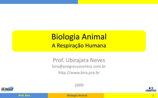 Biologia Animal
             A Respiração Humana

             Prof. Ubirajara Neves
             bira@progressocentro.com.br
                 http://www.bira.pro.br

                         2009

Prof. Bira          Biologia Animal        1
 