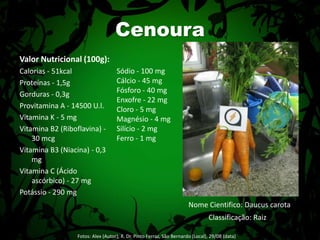 Valor Nutricional (100g):Calorias - 51kcalProteínas - 1,5gGorduras - 0,3gProvitamina A - 14500 U.l.Vitamina K - 5 mgVitamina B2 (Riboflavina) - 30 mcgVitamina B3 (Niacina) - 0,3 mgVitamina C (Ácido ascórbico) - 27 mgPotássio - 290 mgCenouraSódio - 100 mgCálcio - 45 mgFósforo - 40 mgEnxofre - 22 mgCloro - 5 mgMagnésio - 4 mgSilício - 2 mgFerro - 1 mgNome Cientifico: DaucuscarotaClassificação: RaizFotos: Alex (Autor); R. Dr. Pinto Ferraz, São Bernardo (Local), 29/08 (data) 