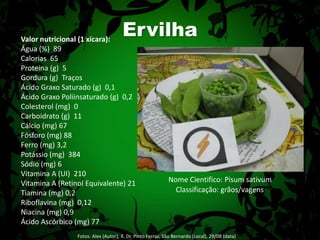Valor nutricional (1 xícara):Água (%)  89  Calorias  65  Proteína (g)  5  Gordura (g)  Traços Ácido Graxo Saturado (g)  0,1  Ácido Graxo Poliinsaturado (g)  0,2  Colesterol (mg)  0 Carboidrato (g)  11  Cálcio (mg) 67  Fósforo (mg) 88  Ferro (mg) 3,2 Potássio (mg)  384  Sódio (mg) 6  Vitamina A (UI)  210  ErvilhaNome Cientifico: PisumsativumVitamina A (Retinol Equivalente) 21  Tiamina (mg) 0,2  Riboflavina (mg)  0,12  Niacina (mg) 0,9  Ácido Ascórbico (mg) 77 Classificação: grãos/vagensFotos: Alex (Autor); R. Dr. Pinto Ferraz, São Bernardo (Local), 29/08 (data) 