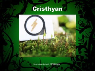 CristhyanFoto: Alex (Autor); 29/08 (data)