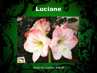 Autoria: Luciane SobralLuciane