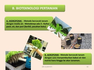 B. BIOTEKNOLOGI PERTANIAN
A. HIDROPONIK : Metode bercocok tanam
dengan media air. Metodenya ada 3 : Kultur
pasir, air, dan pori (kerikil, pecahan batu)
B. AEROPONIK : Metode bercocok tanam
dengan cara menyemburkan kabut air dan
nutrisi hara hingga ke akar tanaman.
1/29/2021 40
SRI SUMIYATI
 