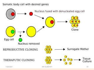 1/29/2021 44
SRI SUMIYATI
 