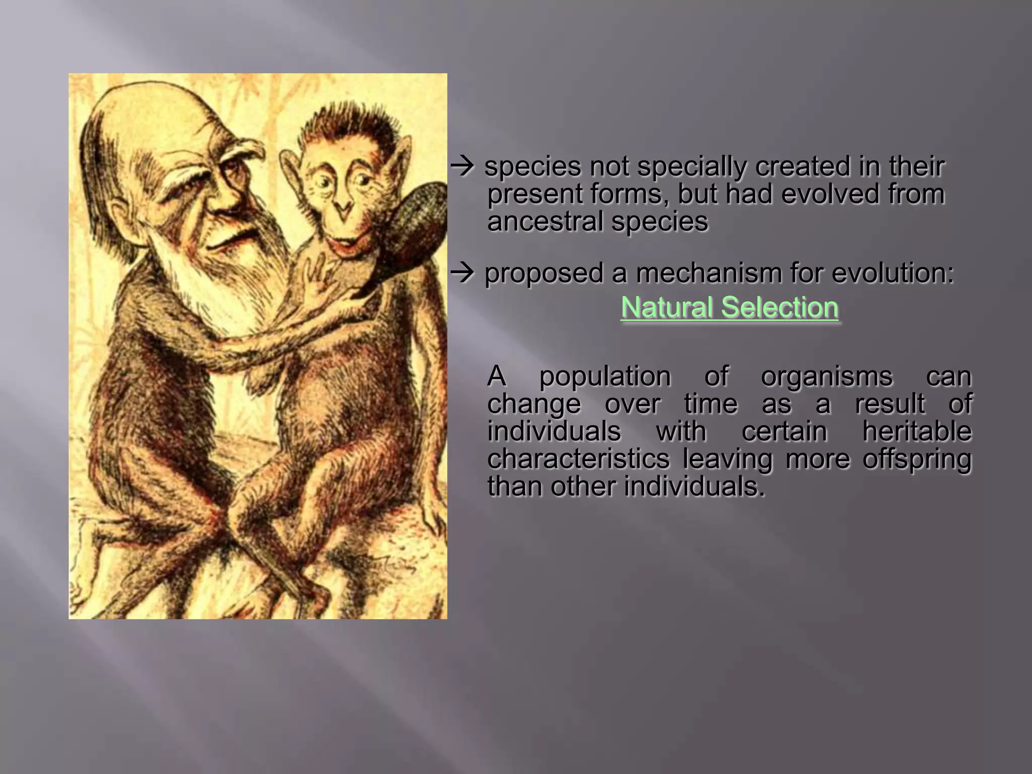  species not specially created in their
  present forms, but had evolved from
  ancestral species
 proposed a mechanism for evolution:
            Natural Selection

   A population of organisms can
   change over time as a result of
   individuals with certain heritable
   characteristics leaving more offspring
   than other individuals.
 