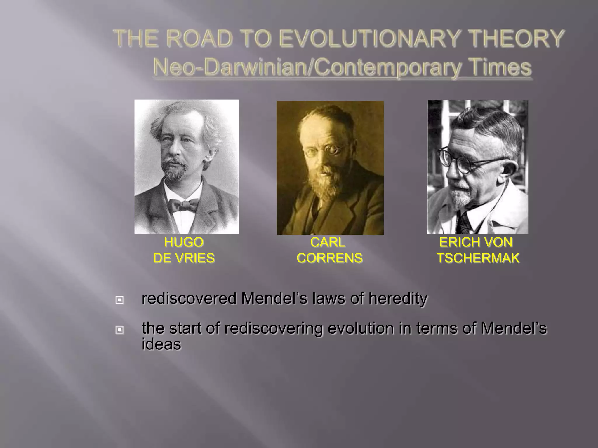 HUGO                CARL               ERICH VON
     DE VRIES            CORRENS             TSCHERMAK


   rediscovered Mendel’s laws of heredity
   the start of rediscovering evolution in terms of Mendel’s
    ideas
 