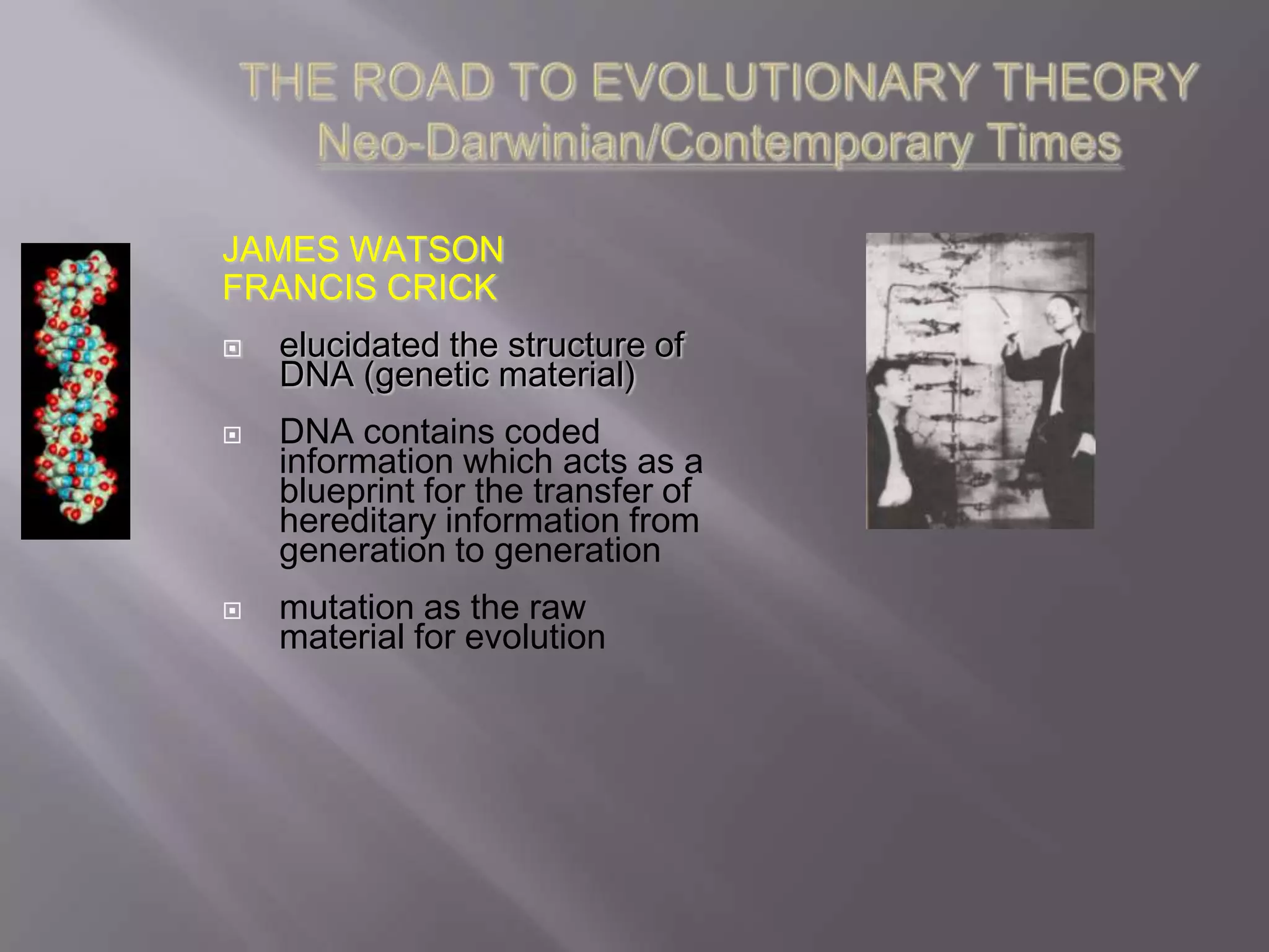 JAMES WATSON
FRANCIS CRICK
   elucidated the structure of
    DNA (genetic material)
   DNA contains coded
    information which acts as a
    blueprint for the transfer of
    hereditary information from
    generation to generation
   mutation as the raw
    material for evolution
 