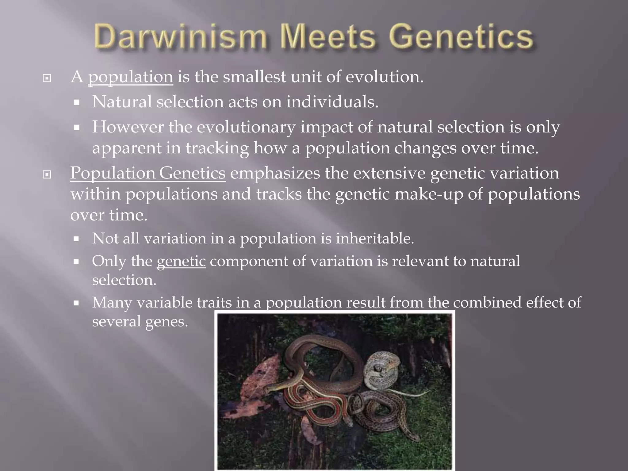    A population is the smallest unit of evolution.
     Natural selection acts on individuals.
     However the evolutionary impact of natural selection is only
      apparent in tracking how a population changes over time.
   Population Genetics emphasizes the extensive genetic variation
    within populations and tracks the genetic make-up of populations
    over time.
     Not all variation in a population is inheritable.
     Only the genetic component of variation is relevant to natural
      selection.
     Many variable traits in a population result from the combined effect of
      several genes.
 