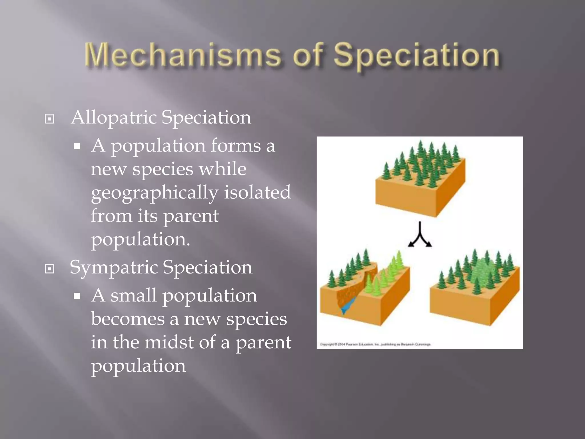    Allopatric Speciation
     A population forms a
      new species while
      geographically isolated
      from its parent
      population.
   Sympatric Speciation
     A small population
      becomes a new species
      in the midst of a parent
      population
 