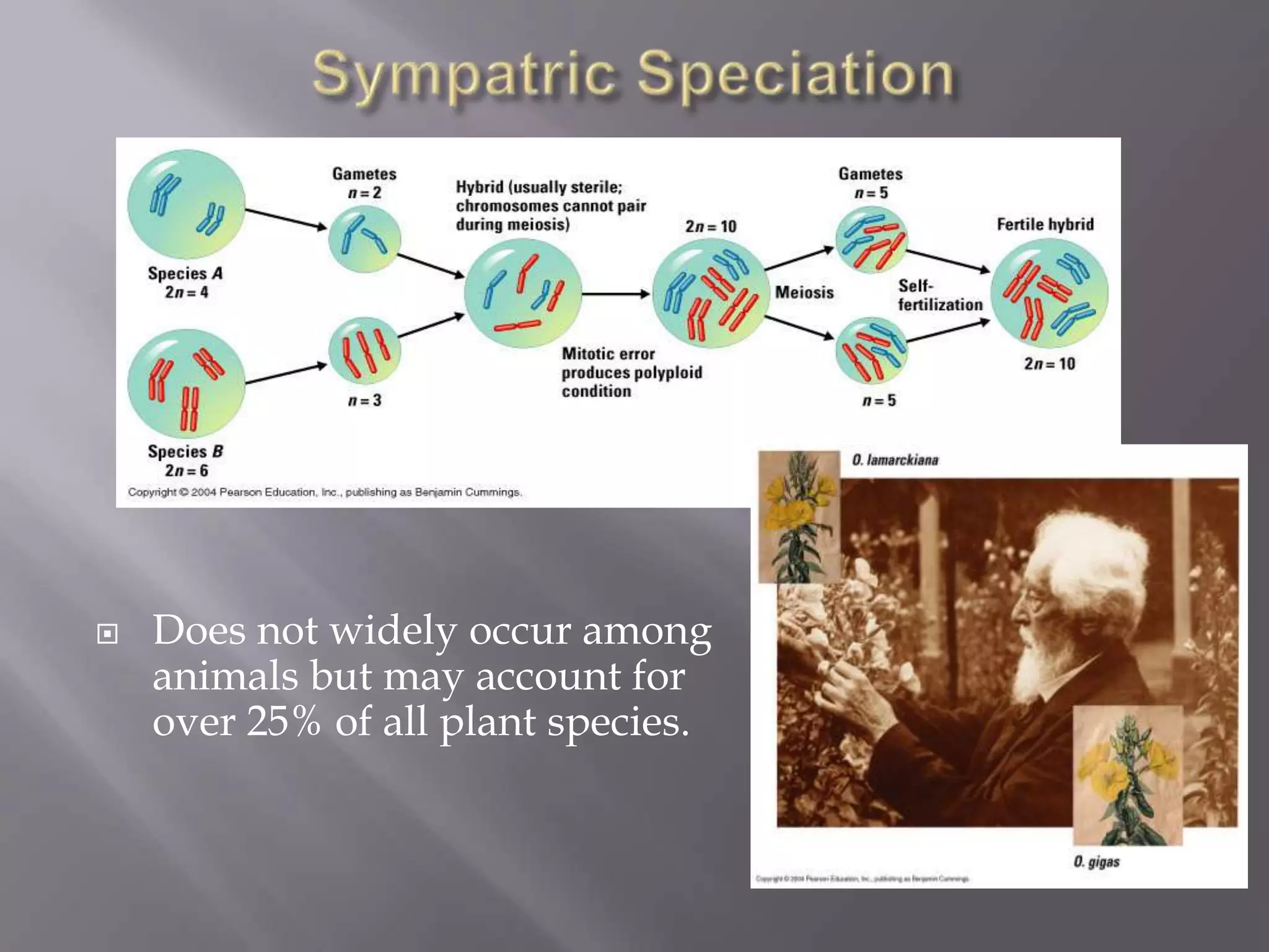    Does not widely occur among
    animals but may account for
    over 25% of all plant species.
 
