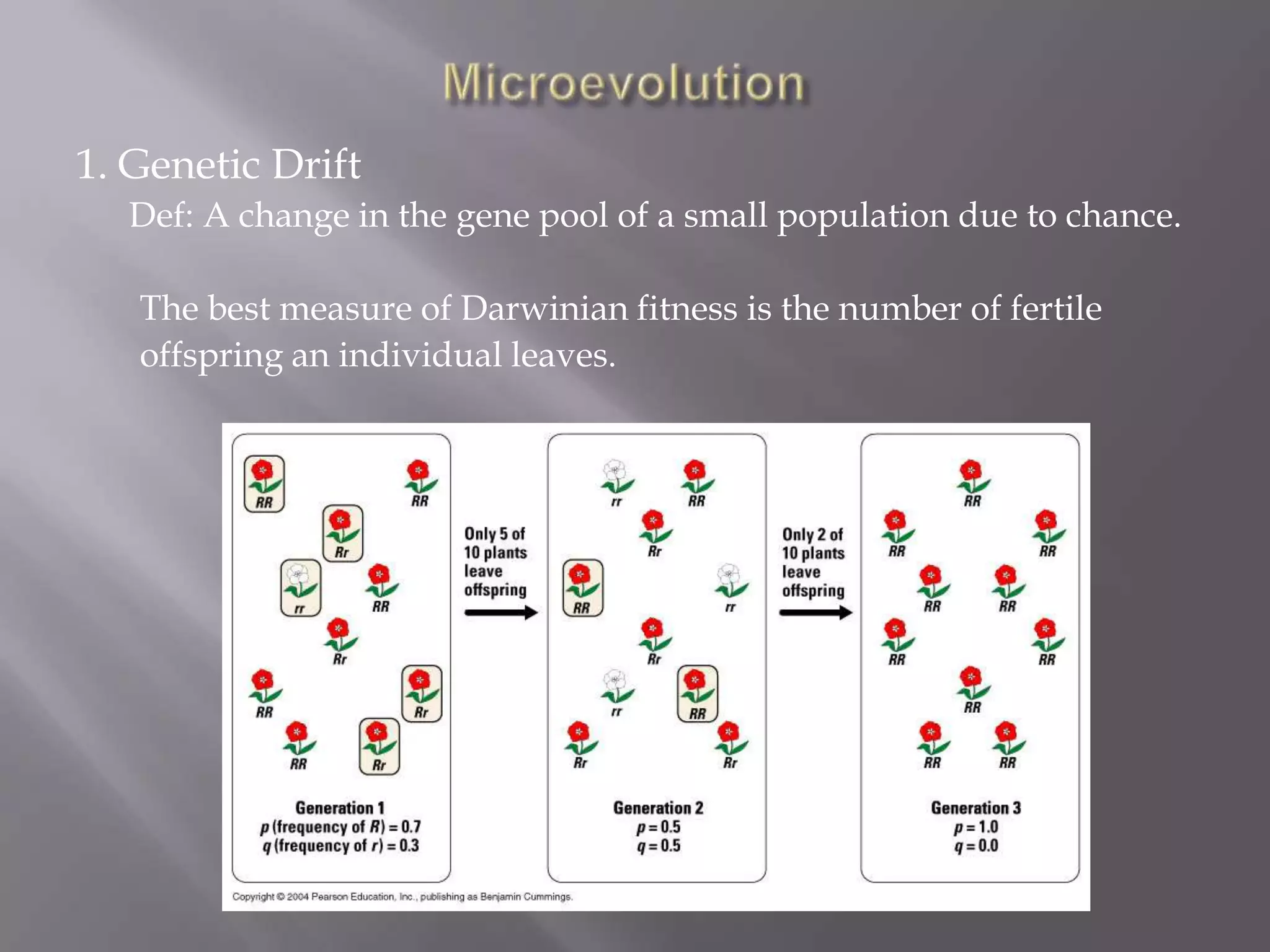 1. Genetic Drift
  Def: A change in the gene pool of a small population due to chance.

   The best measure of Darwinian fitness is the number of fertile
   offspring an individual leaves.
 